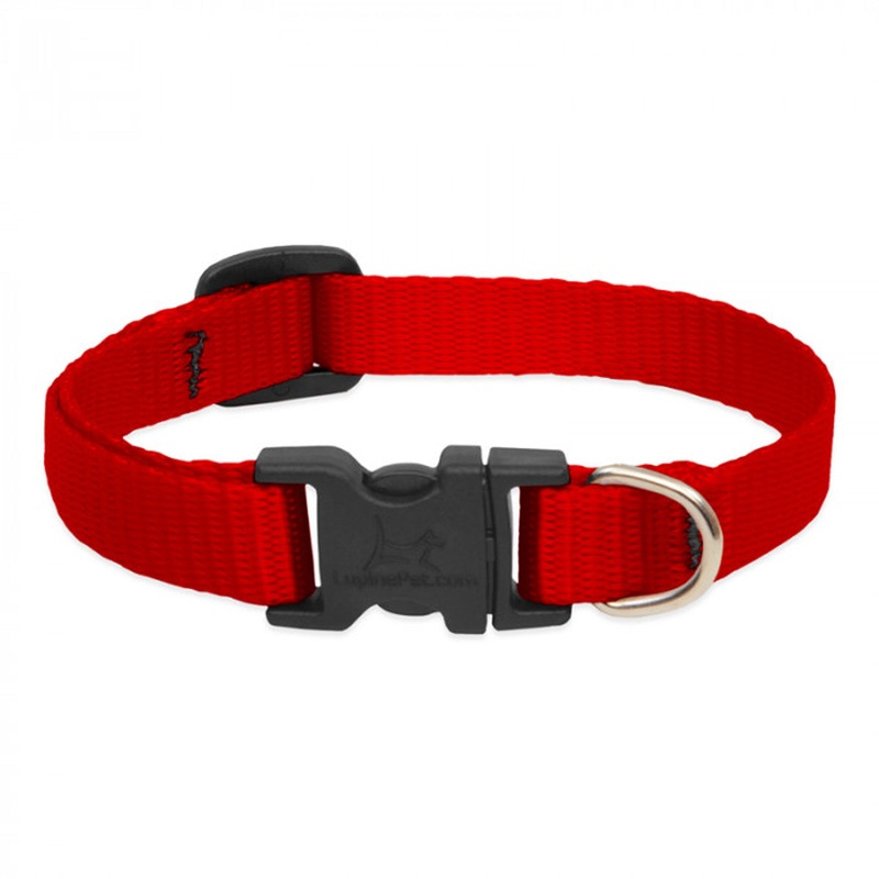 Lupine Adjustable Dog Collar Red 1/2 Wide x 8-12 Neck Size