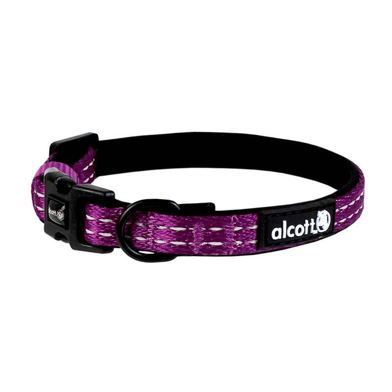 Alcott Adventure Dog Collar - Small 10-14 - Purple