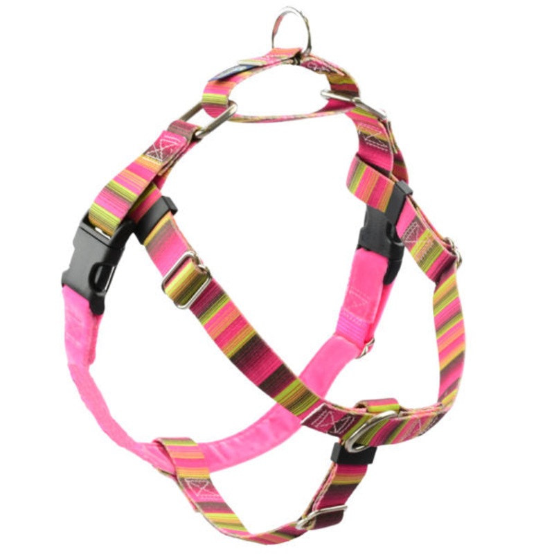 2 Hounds Design Freedom No-Pull Dog Harness - Large 1 x 28-32 - Bonnie