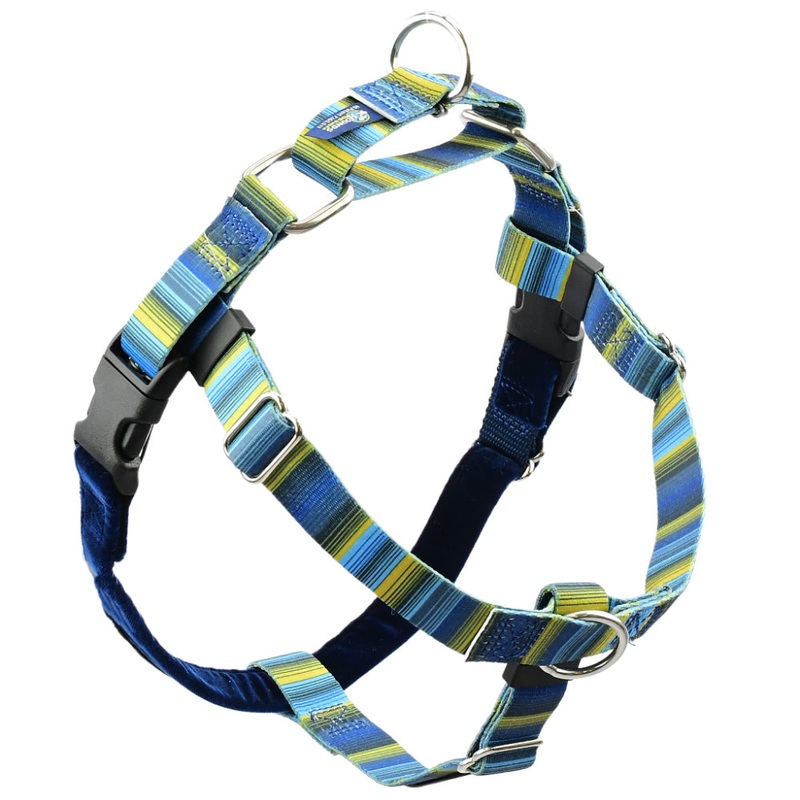 2 Hounds Design Freedom No-Pull Dog Harness - Medium 1 x 24-28 - Clyde