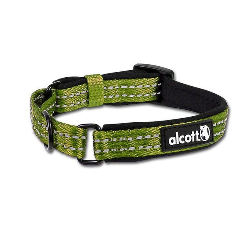 Alcott Martingale Dog Collar - Small  10-14 - Green