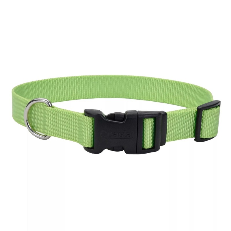Coastal Adjustable Dog Collar with Plastic Buckle 1 x 18 - 26 Lime