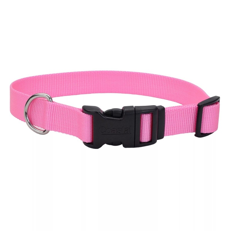 Coastal Adjustable Dog Collar with Plastic Buckle 3/8 x 8 - 12 Pink Bright