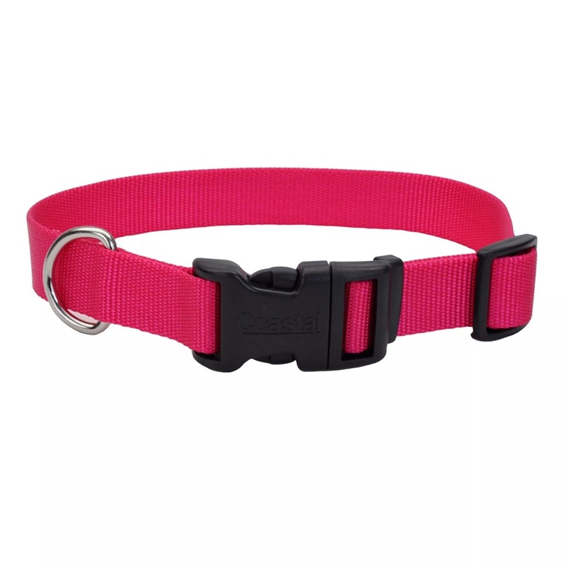 Coastal Adjustable Dog Collar with Plastic Buckle 5/8 x 10 - 14 Pink Flamingo