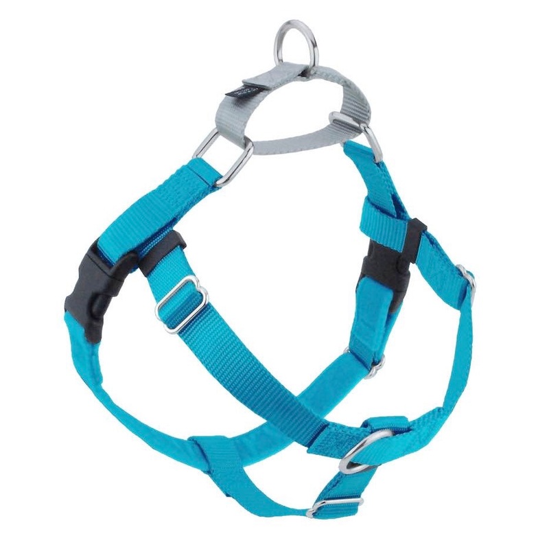 2 Hounds Design Freedom No-Pull Dog Harness - Large 1 x 28-32 - Turquoise