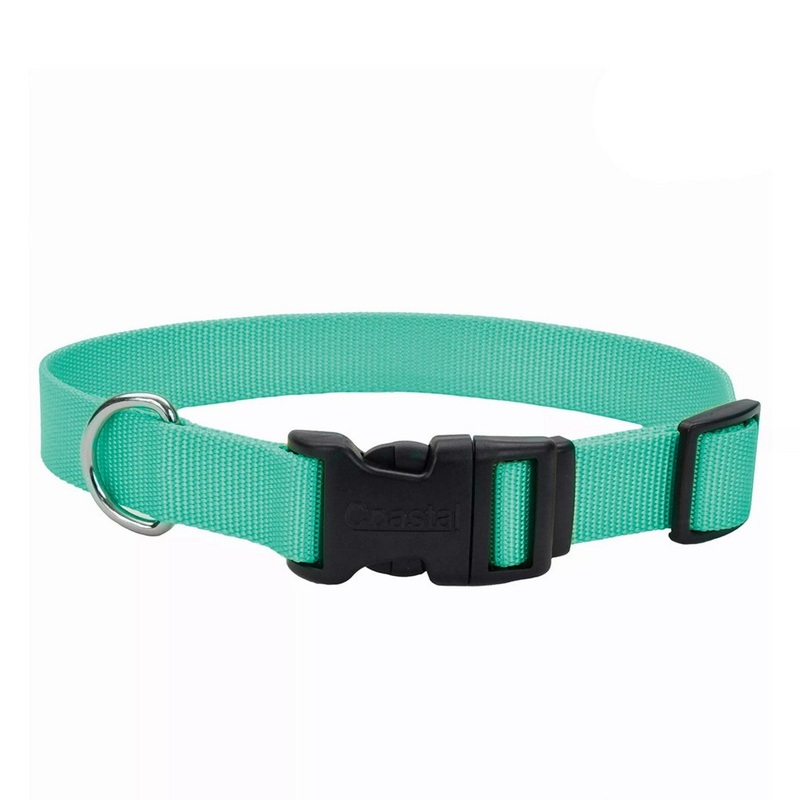 Coastal Adjustable Dog Collar with Plastic Buckle 1x14-20 Teal