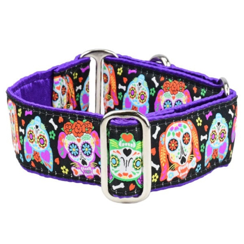 2 Hounds Design Dog Collar - Large 16-20 - XOLO  Sugar Skull