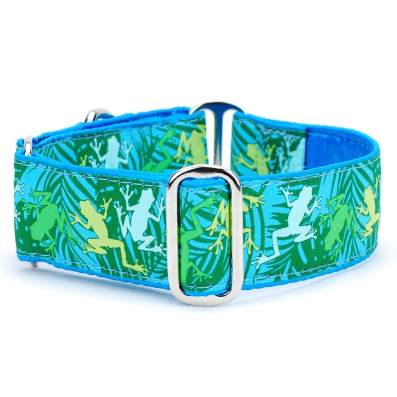 2 Hounds Design Dog Collar - X-Large  20-26 - Coqui Surf