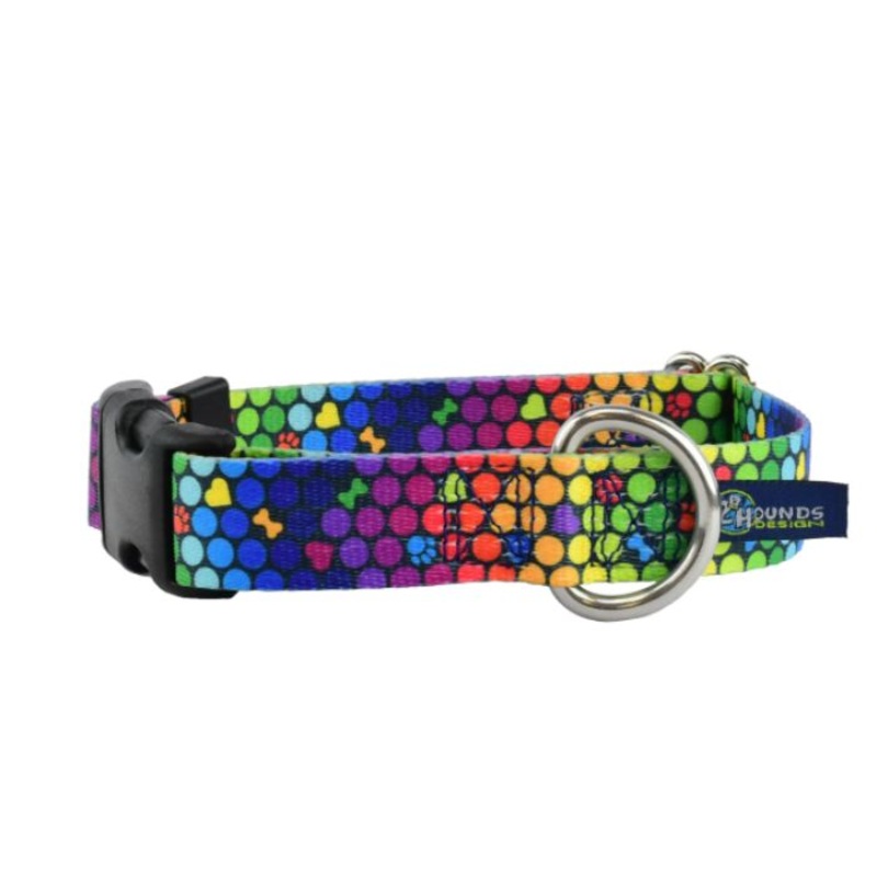 2 Hounds Design Dog Collar - Small 10-14 - Roy G Biv