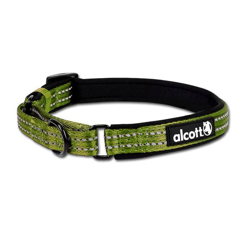 Alcott Martingale Dog Collar - Medium 14-20 - Green