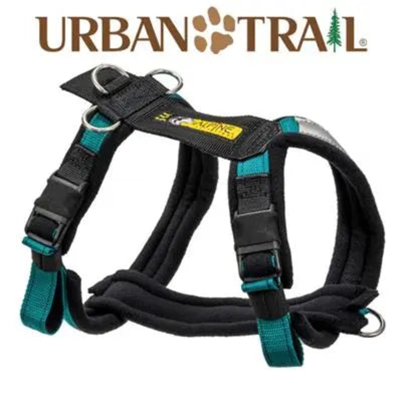Alpine Outfitters Urban Trail Adjustable Harness