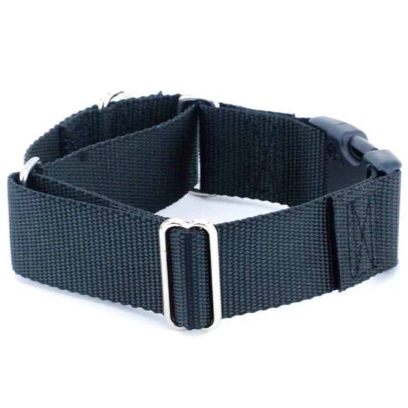 2Hounds 1.5 Combo Collar|1.5"|Medium|Large|X-Large|XX-Large