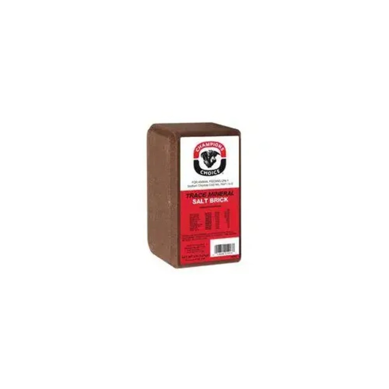 Roto Salt 110004997-XCP15 Champion's Choice Trace Mineral Salt Brick, 4 lb - pack of 15