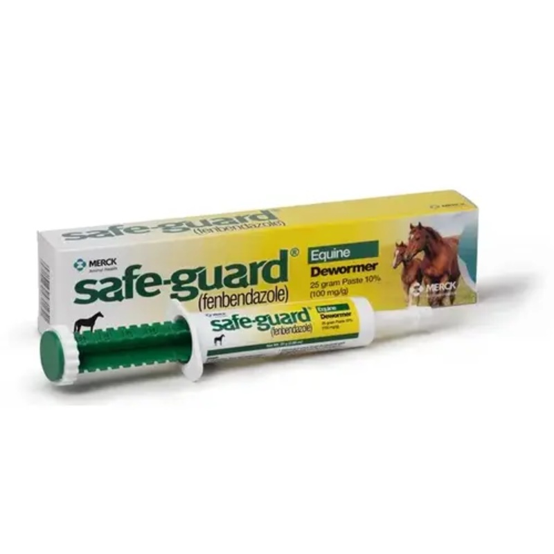 ANIMAL HEALTH INTERNATIONAL 19817383 Horse Dewormer Paste, Apple-Cinnamon, 25-gm.