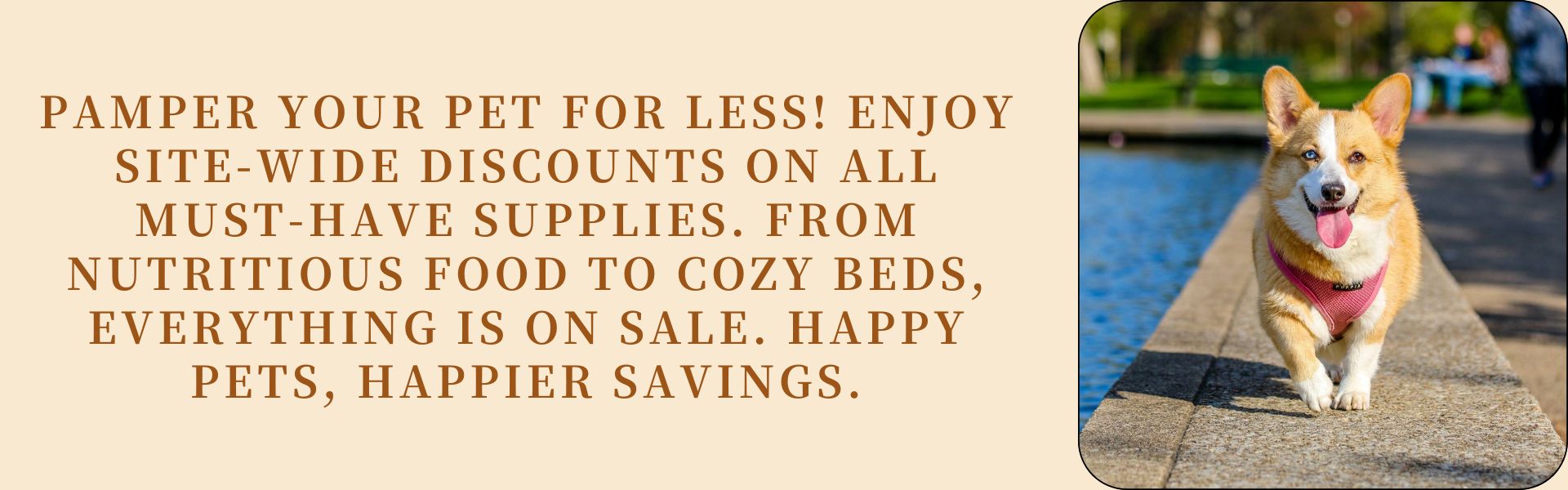 Shop Premium Pet Food, Toys & Supplies | Fast, Free Shipping
